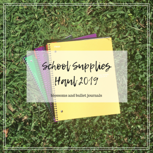 School Supplies Haul | Back to School 2019